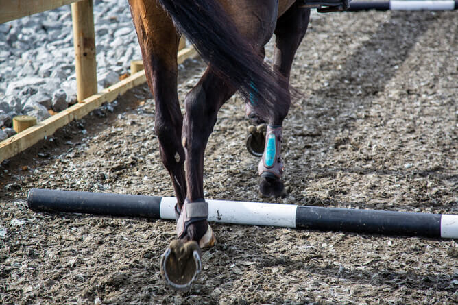 Arena Rubber Footing Safety Surfacing, Equestrian Safety Surfacing