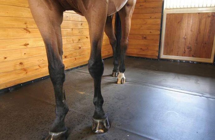 Horse Stall Safety Surfacing, Equestrian Safety Surfacing